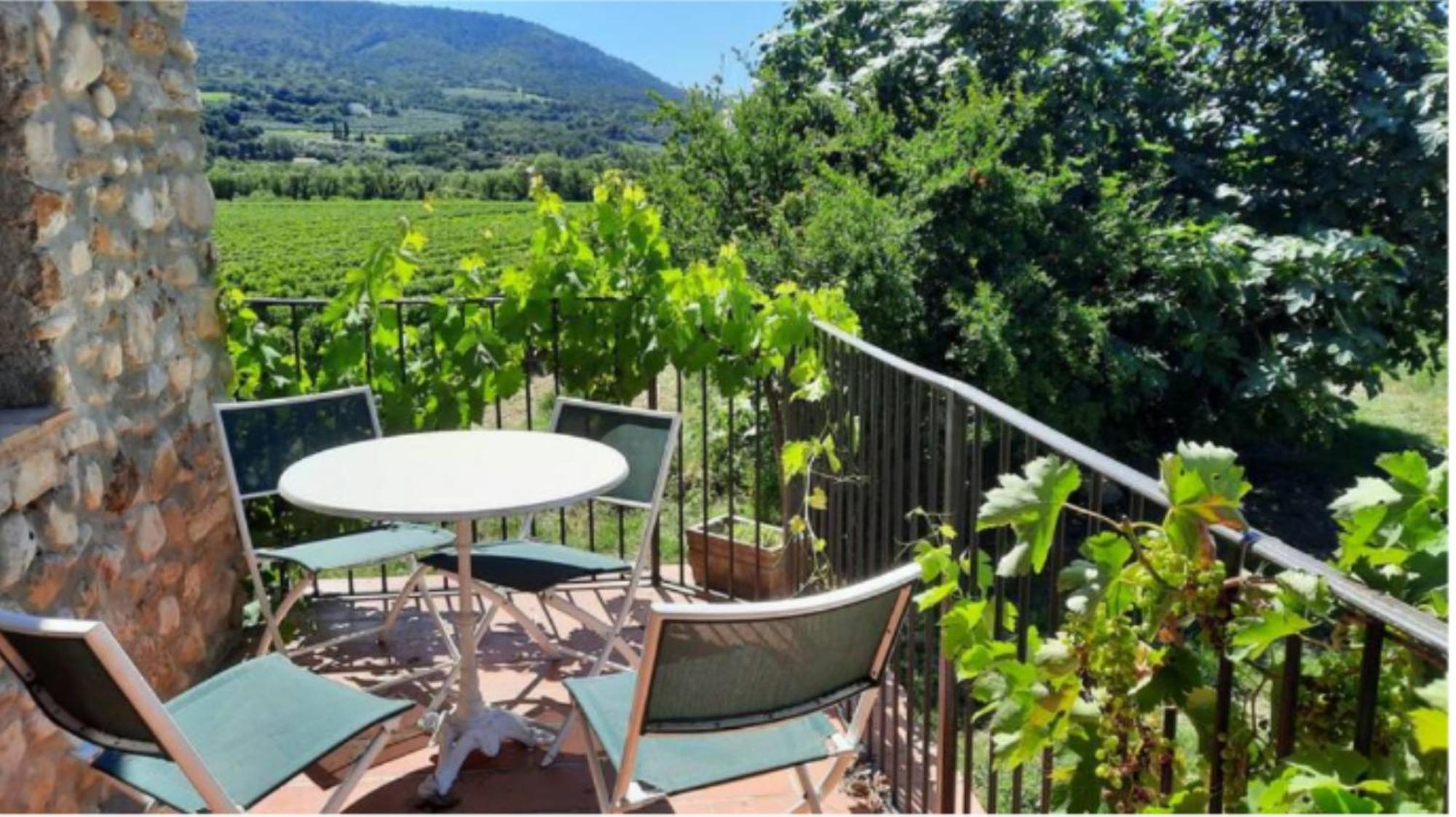 הוילה ניונס L'O De Vigne, Eden In Provence מראה חיצוני תמונה